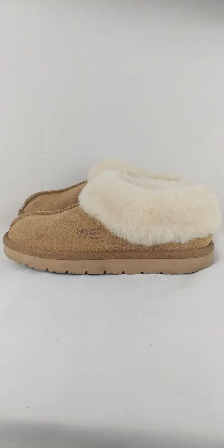 240 UGG 어그 타제트 슬립온 겨울신발 방한화